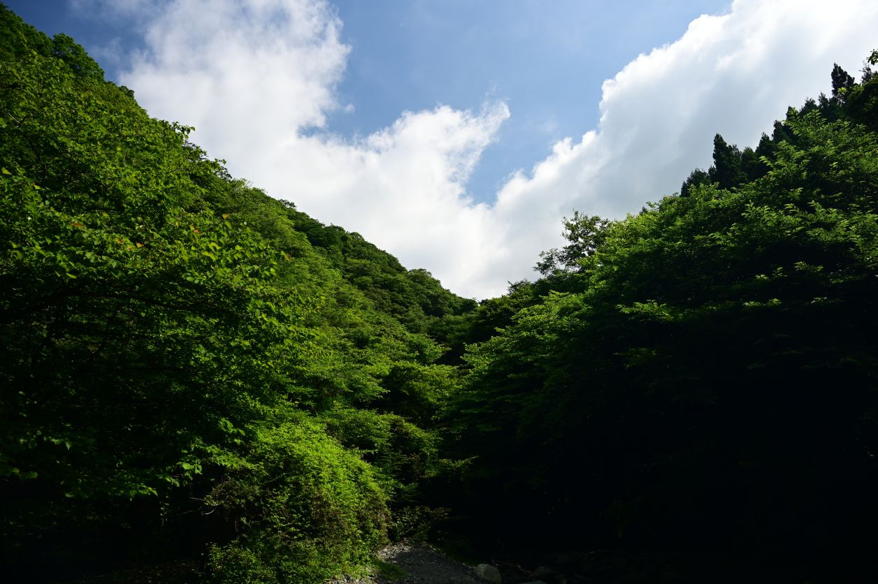 鍋割山