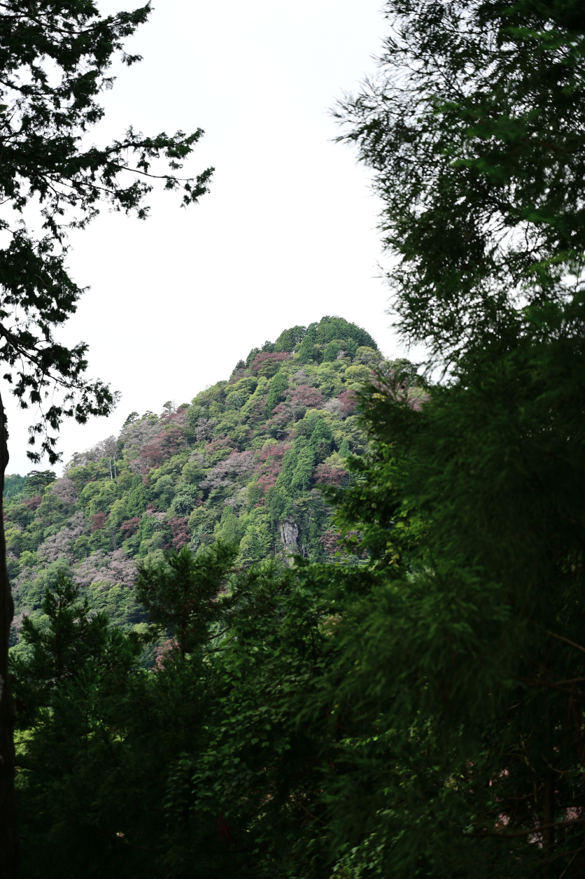 武蔵御嶽神社奥の院