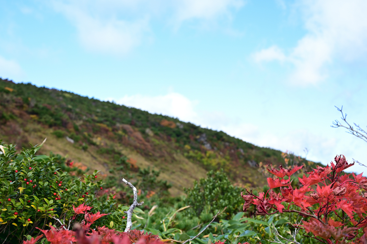 安達太良山の紅葉