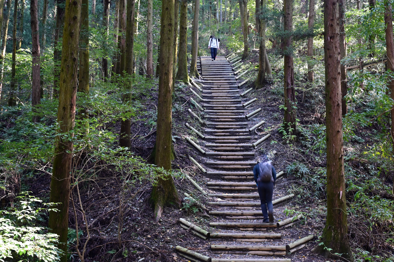 宝登山