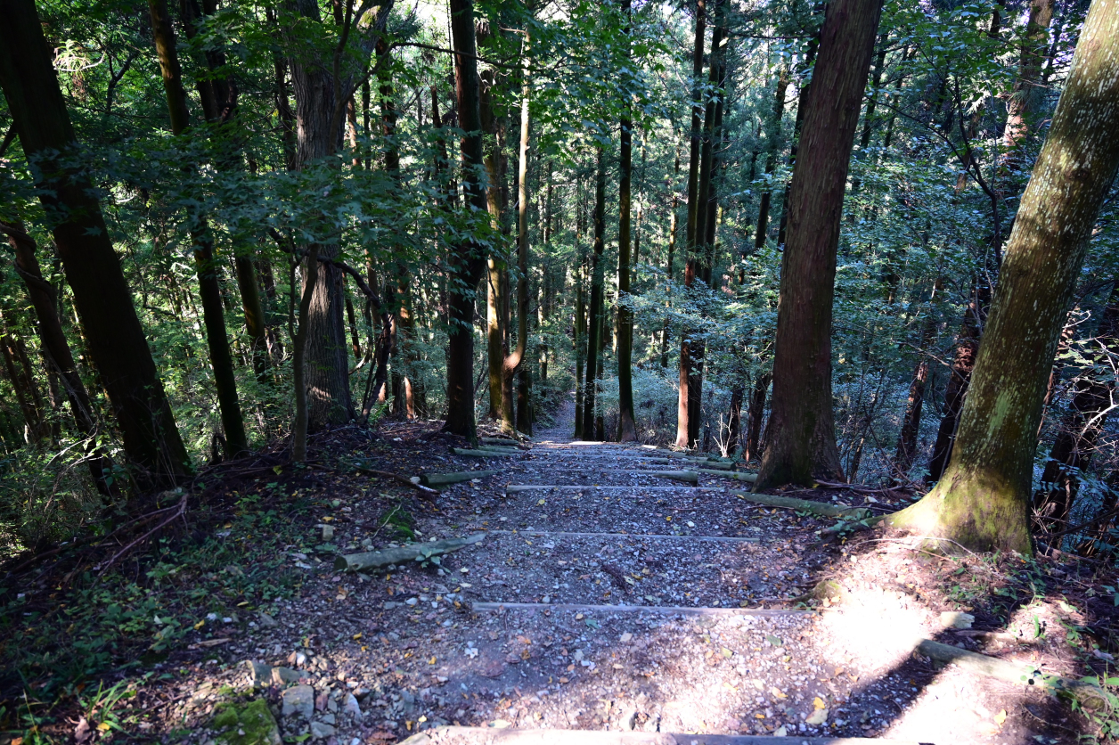 宝登山