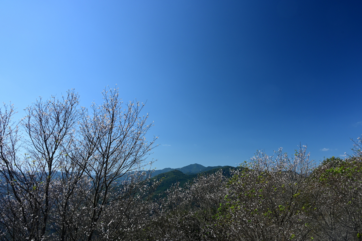 宝登山