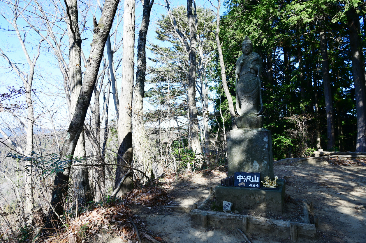 中沢山