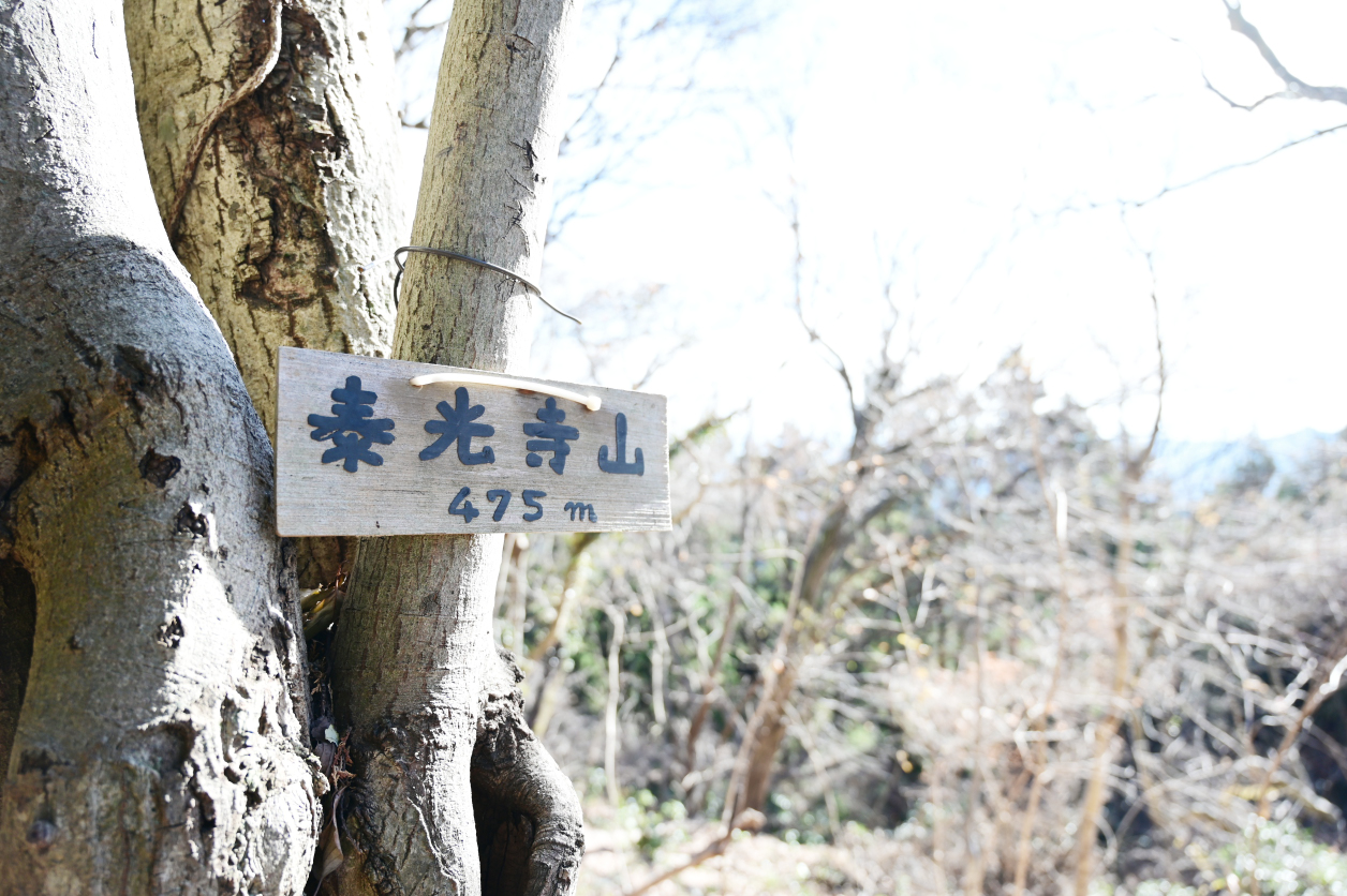 泰光寺山