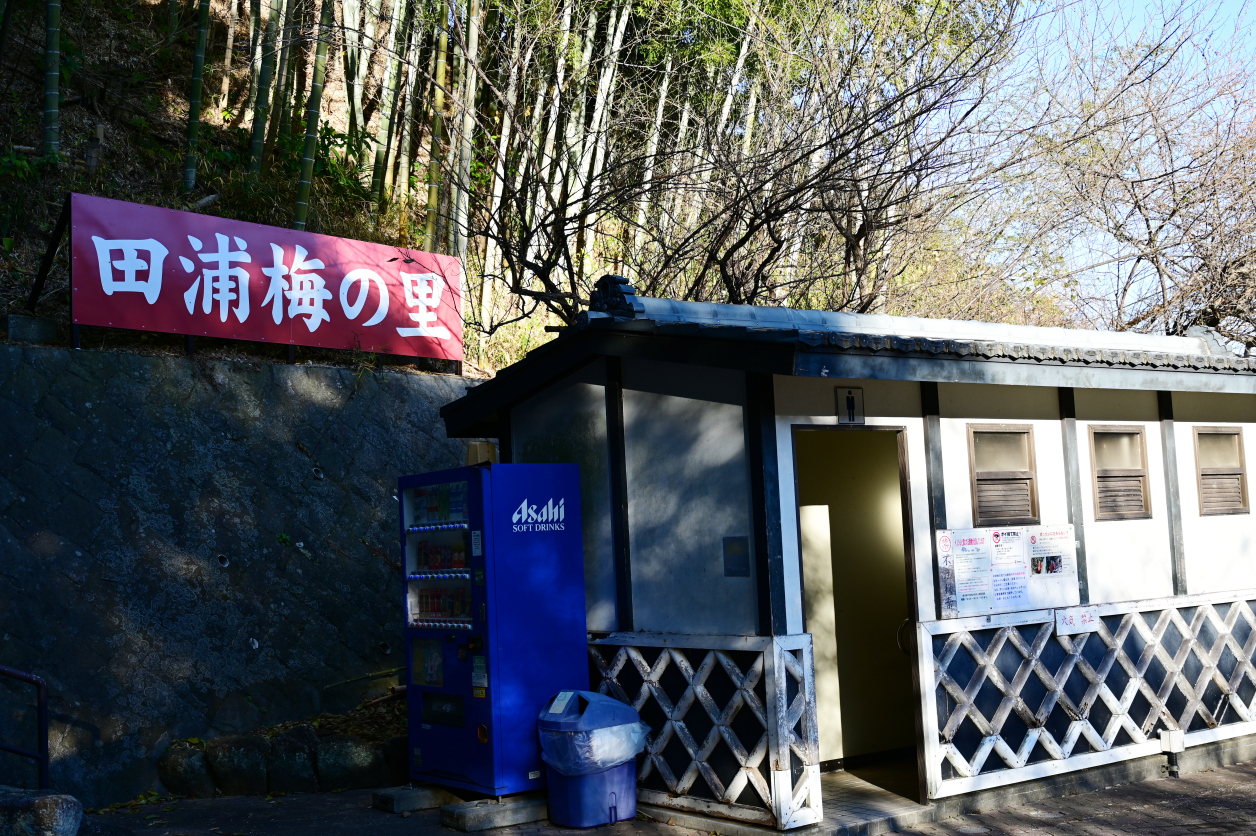 田浦梅の里