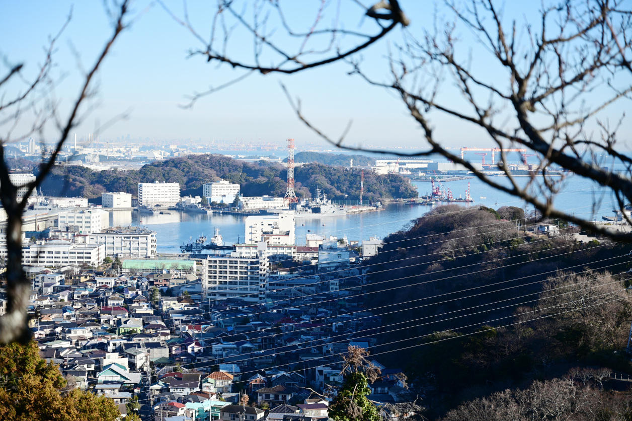 田浦梅の里