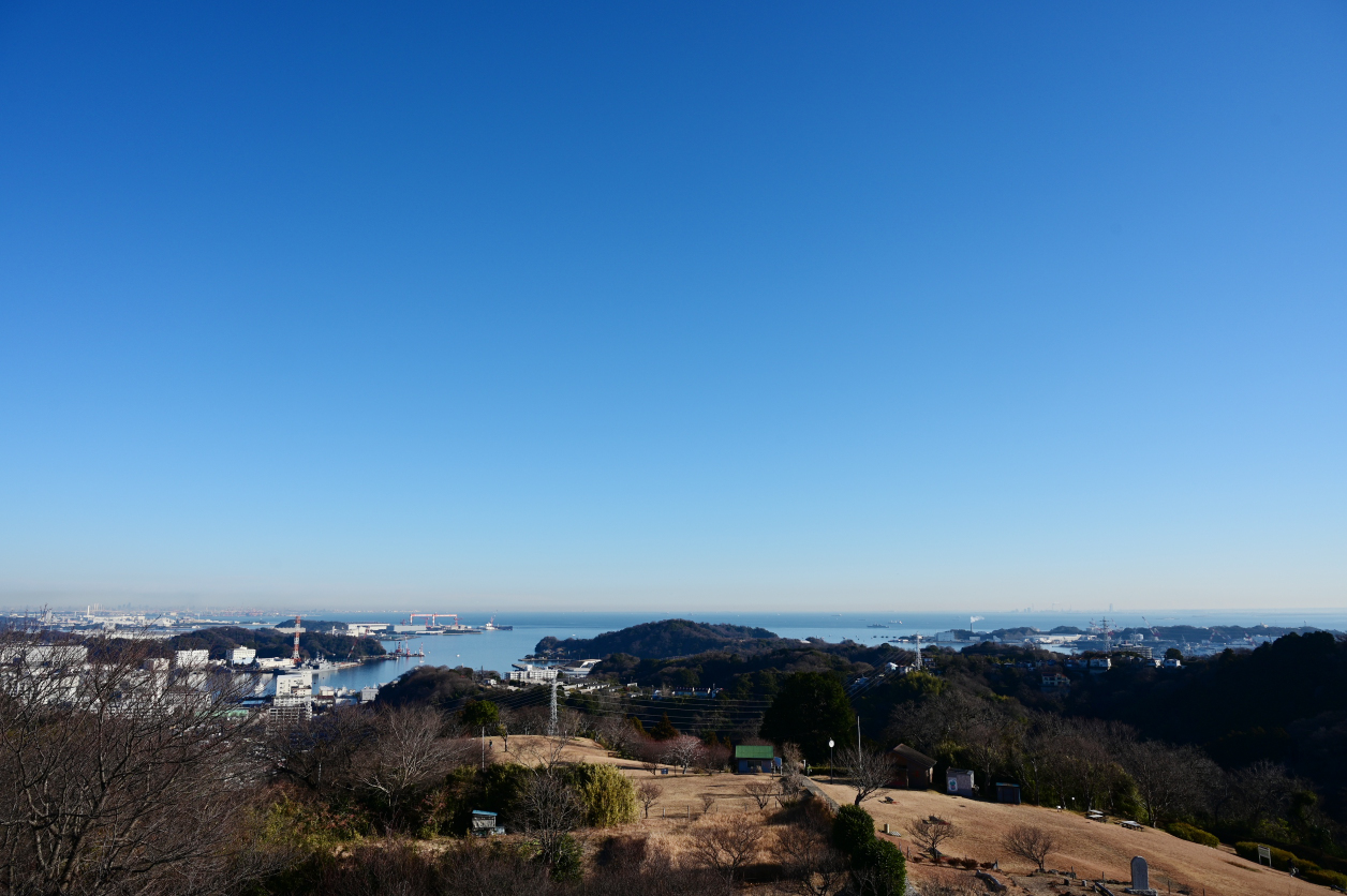 田浦梅の里