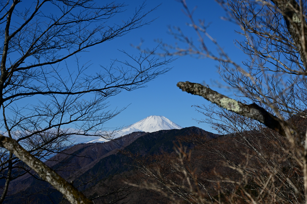 塔ノ岳